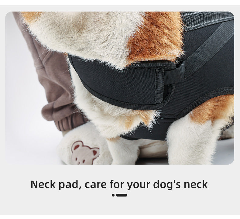Dog Lift Harness