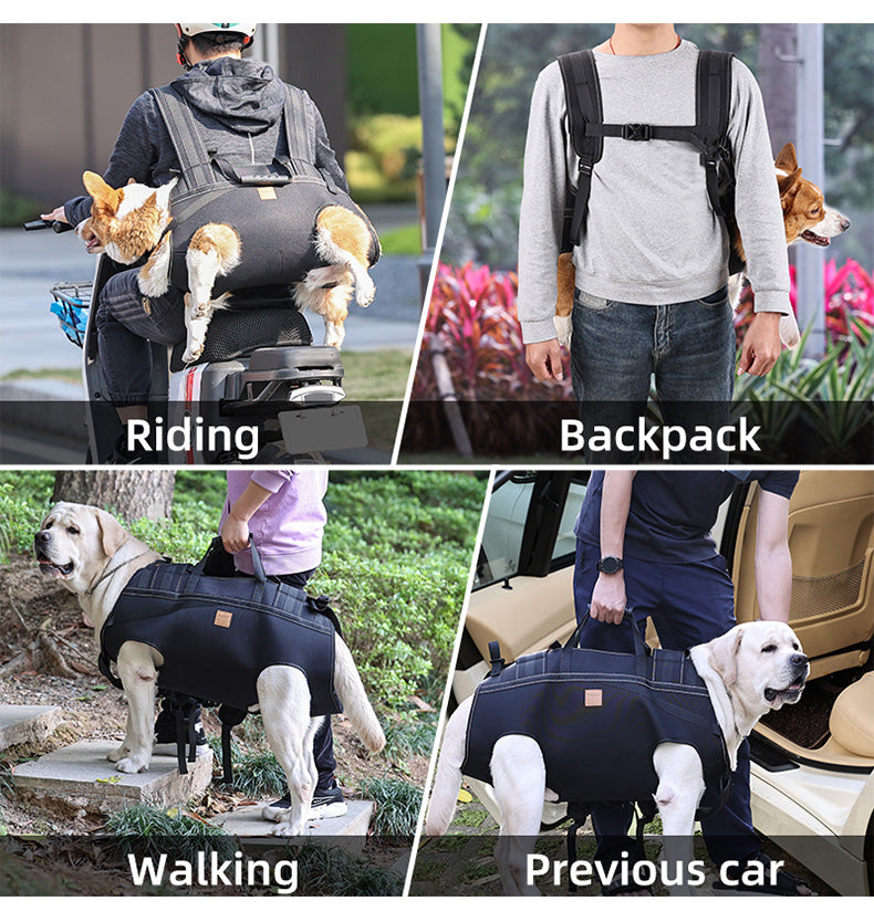 Dog Lift Harness