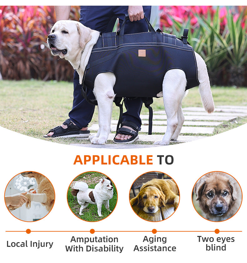 Dog Lift Harness