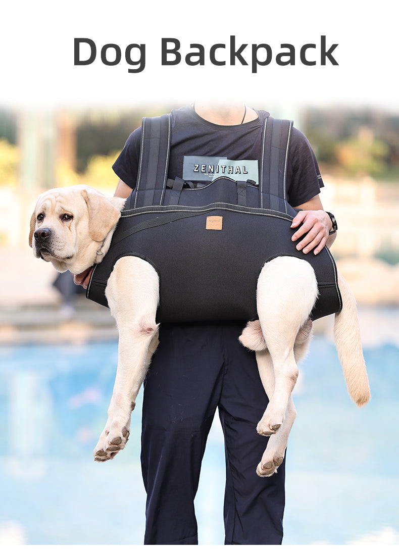 Dog Lift Harness