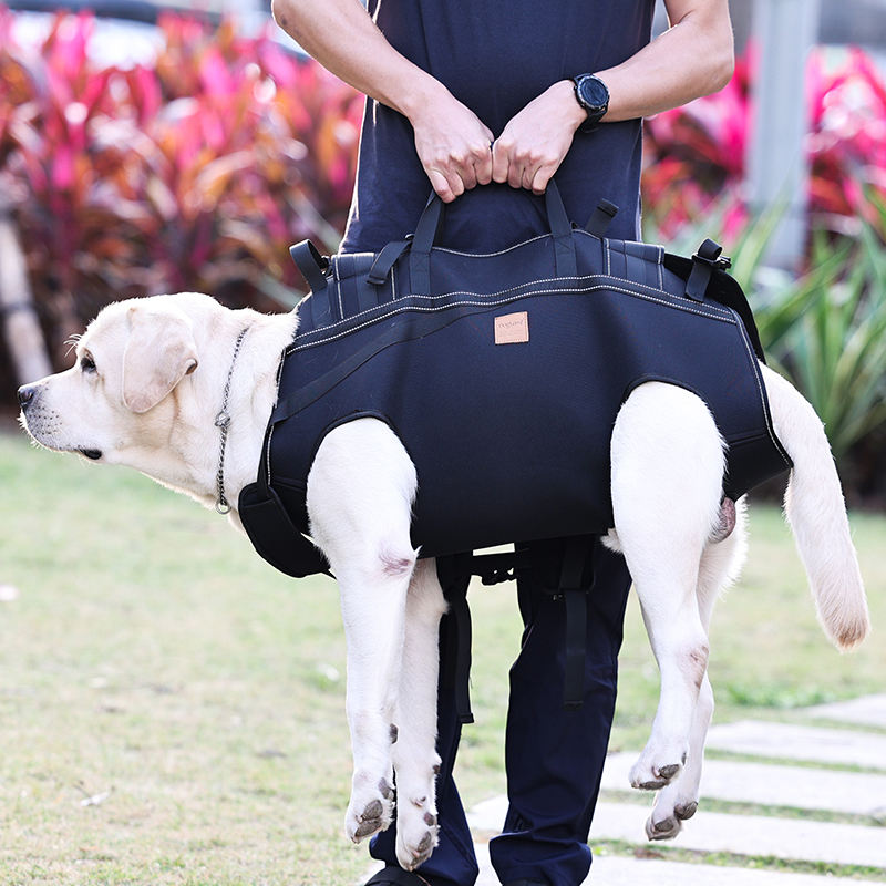 Dog Lift Harness