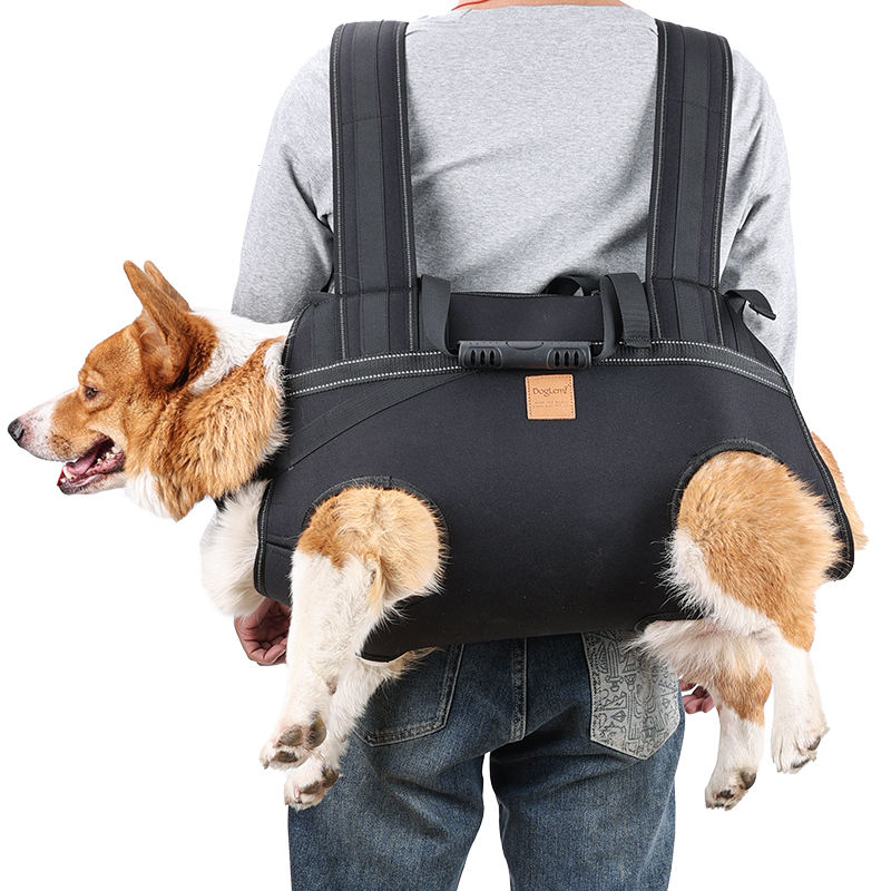 Dog Lift Harness