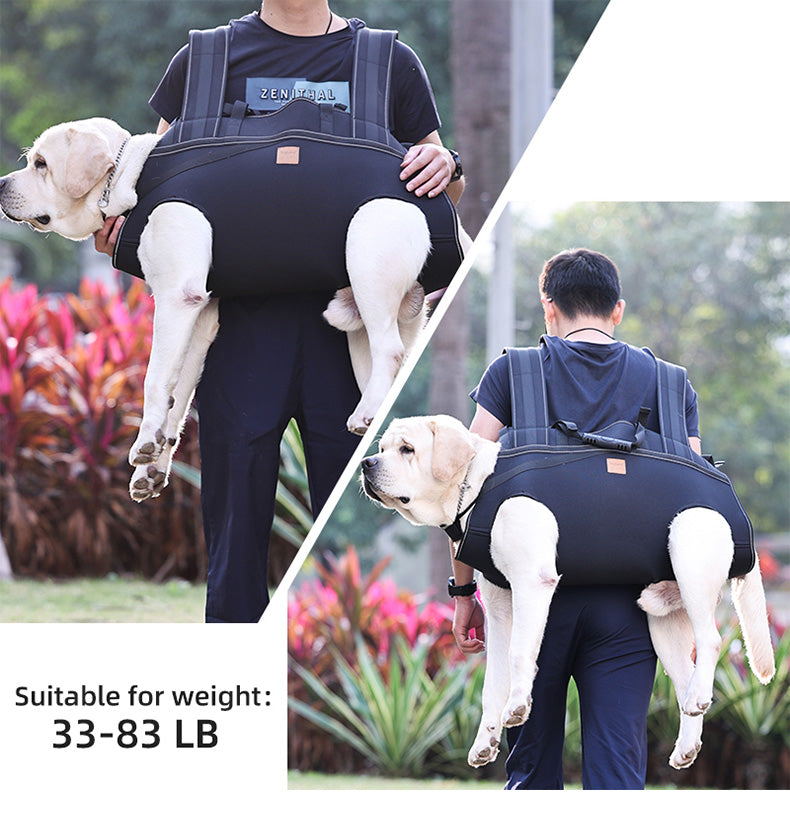 Dog Lift Harness