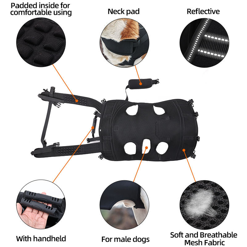 Dog Lift Harness