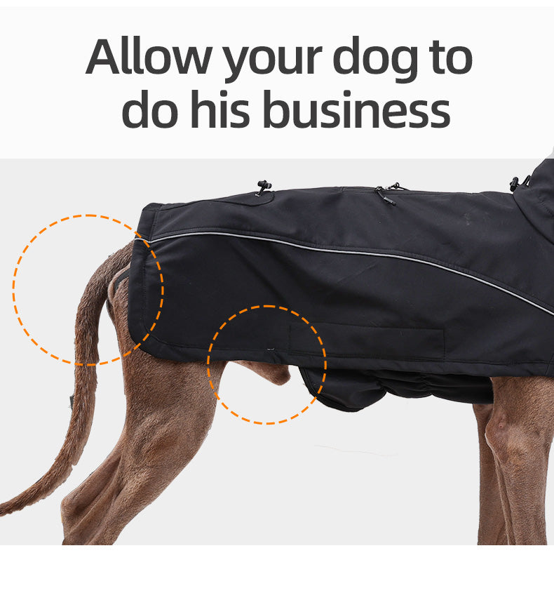 Designer Waterproof Dog Coat