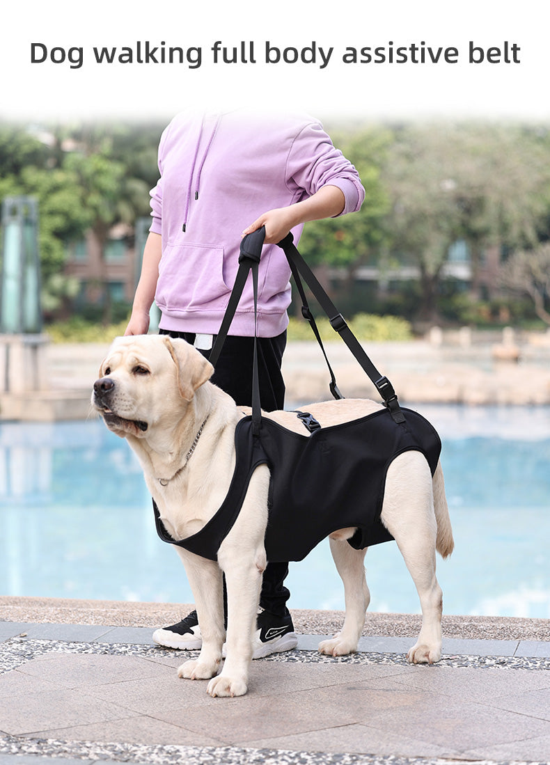 dog sling carriers