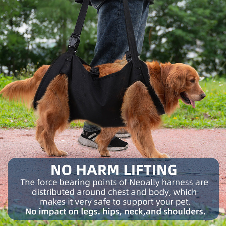 dog sling carriers