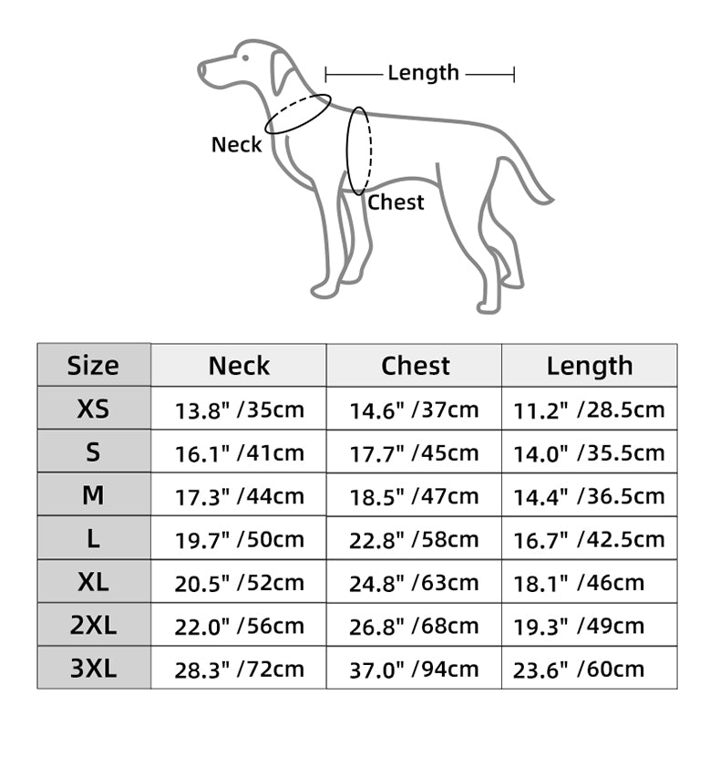 Designer Waterproof Dog Coat