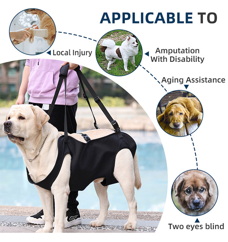 dog sling carriers
