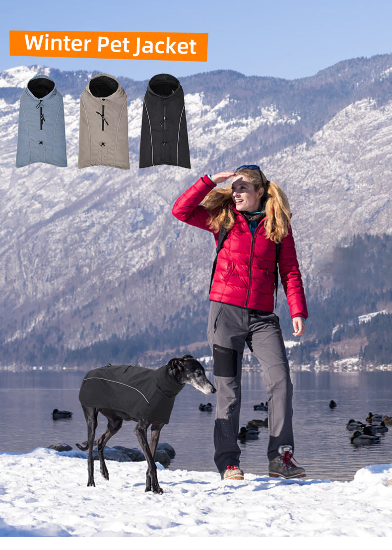 Designer Waterproof Dog Coat