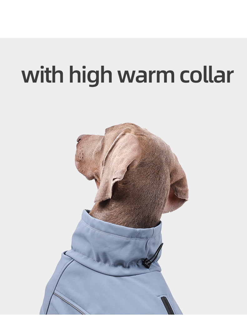 Designer Waterproof Dog Coat