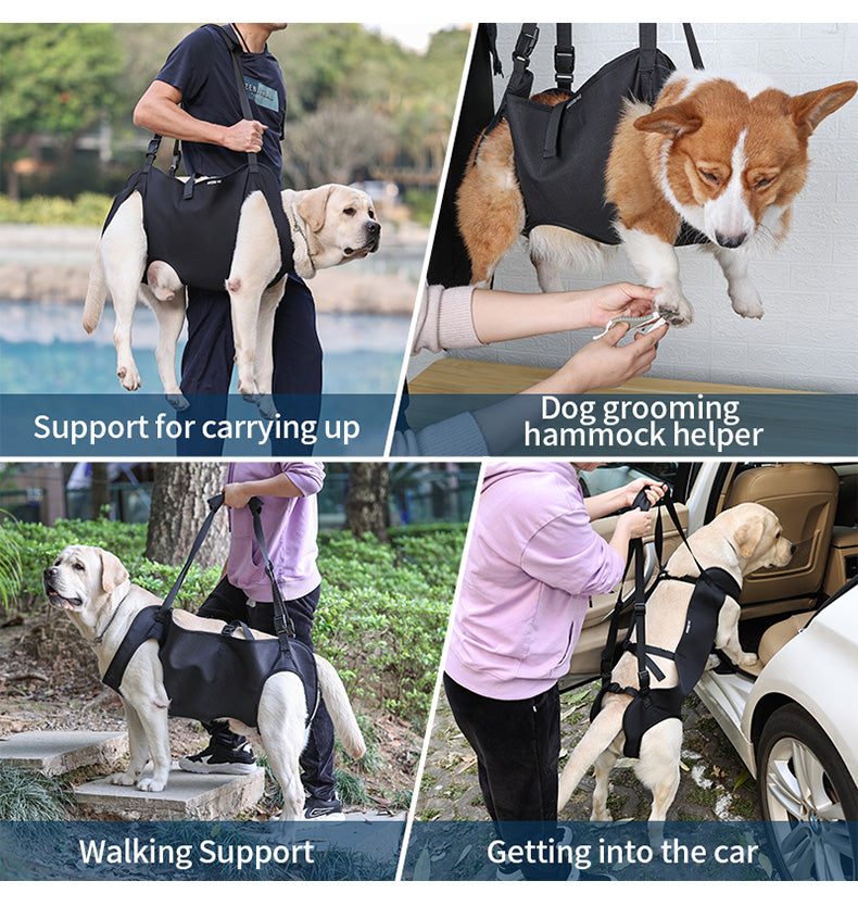 dog sling carriers