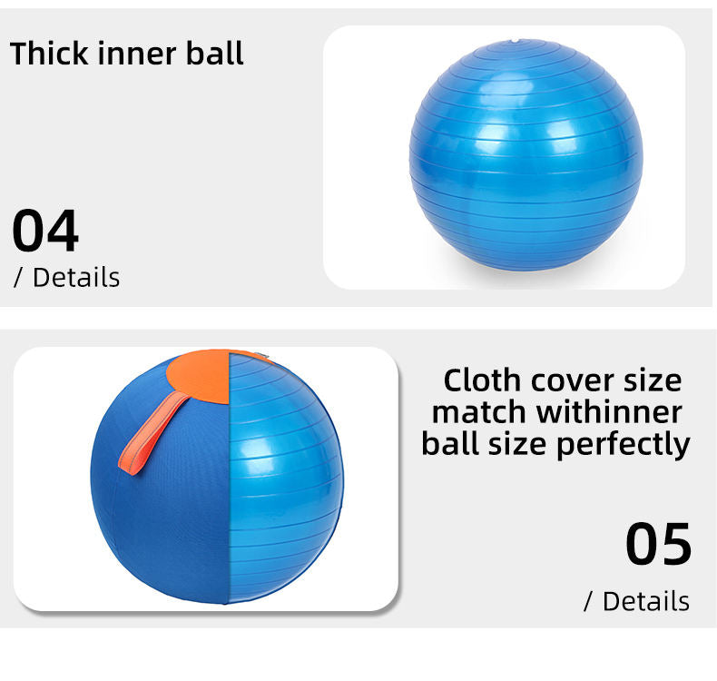 Pet Herding Ball