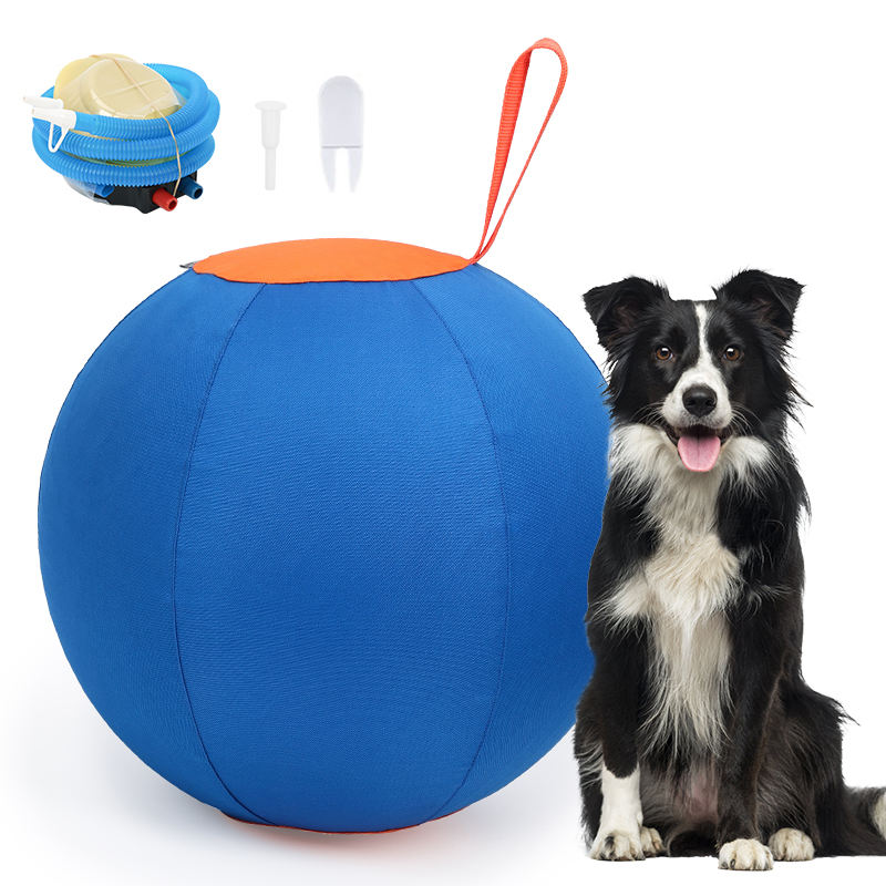 Pet Herding Ball