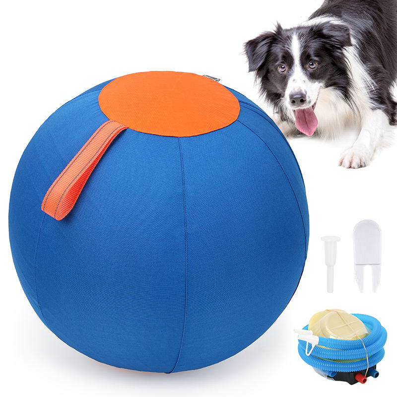 Pet Herding Ball