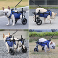 Adjustable 2-Wheel Pet Wheelchair