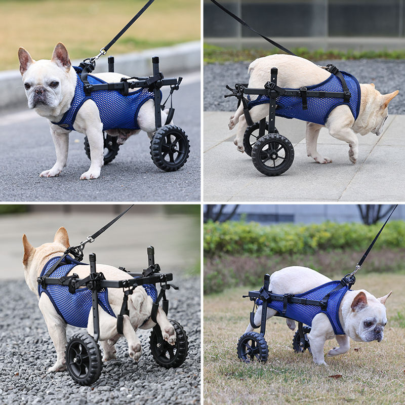 Adjustable 2-Wheel Pet Wheelchair
