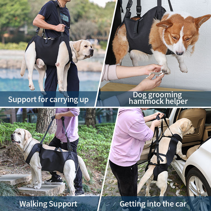 dog sling carriers
