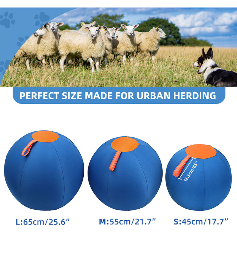 Pet Herding Ball