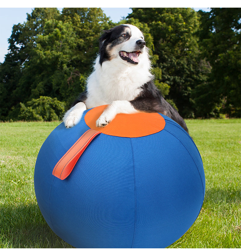 Pet Herding Ball
