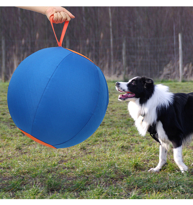 Pet Herding Ball