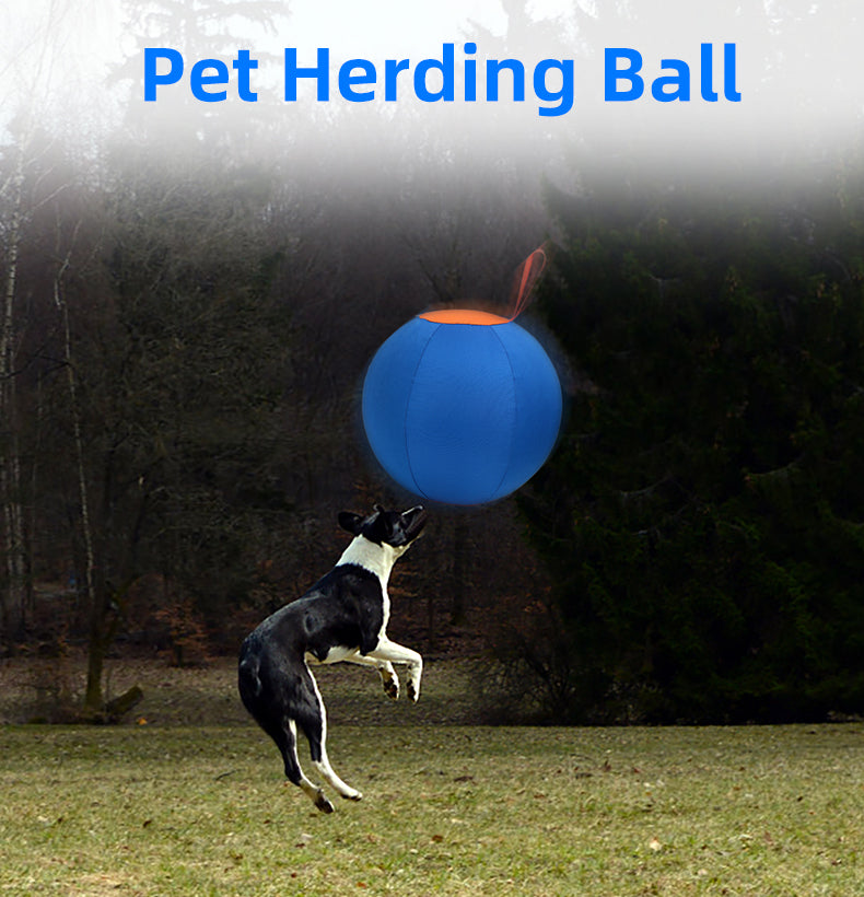 Pet Herding Ball
