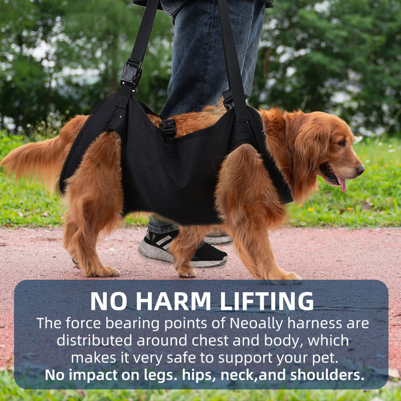 dog sling carriers