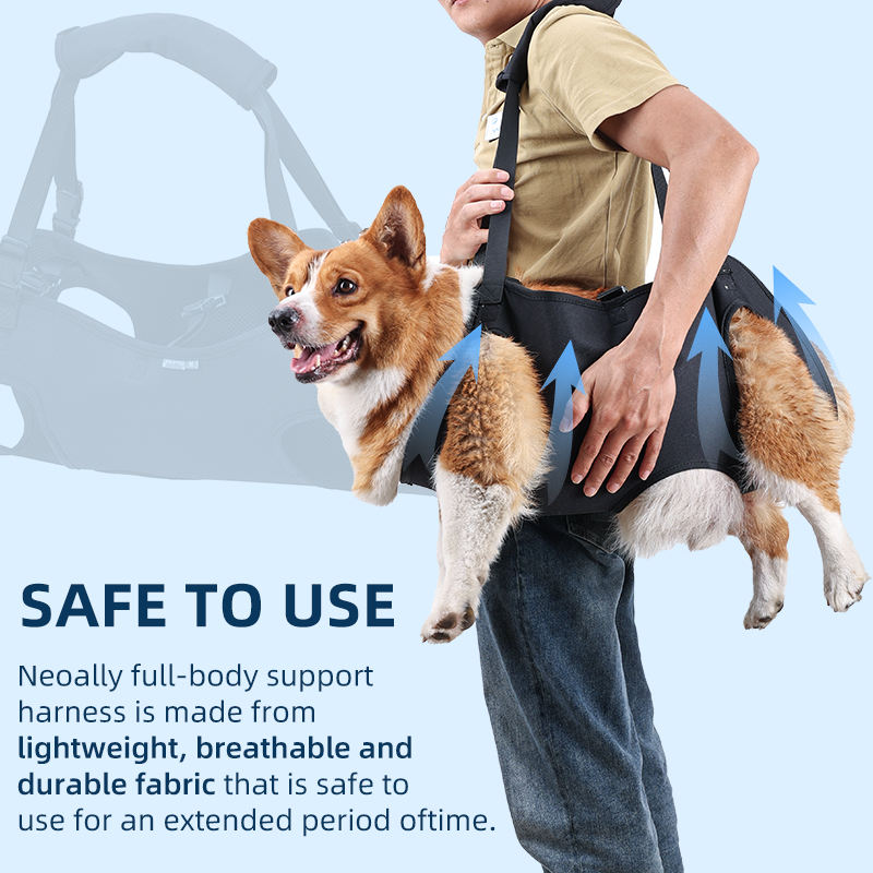 dog sling carriers