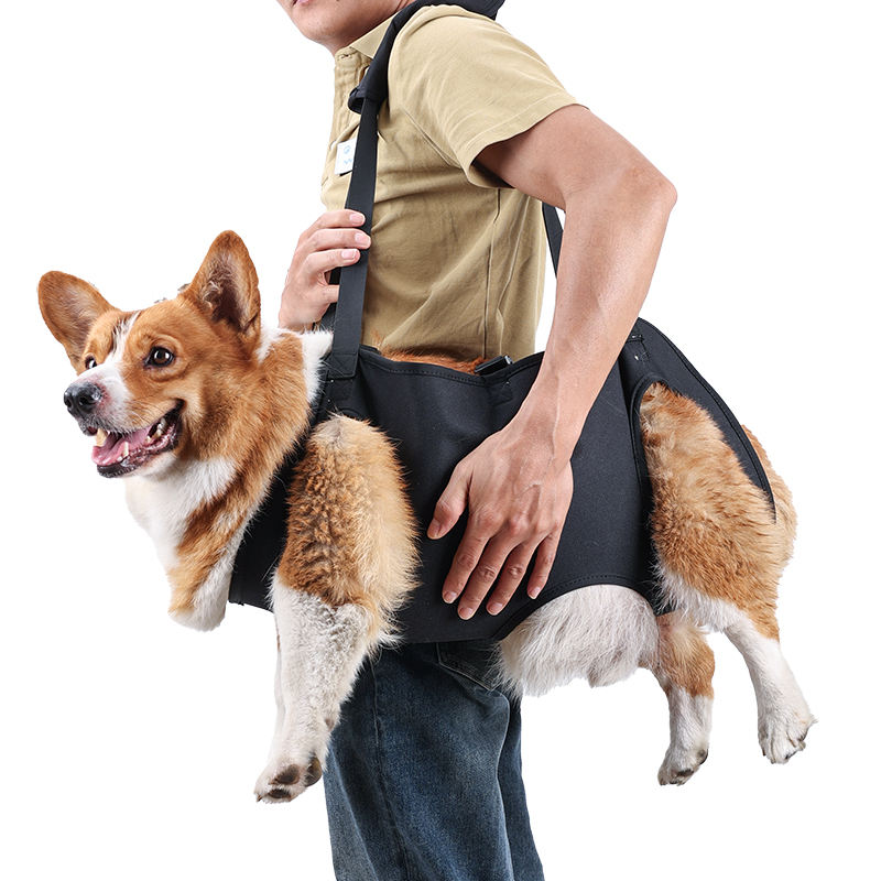 dog sling carriers
