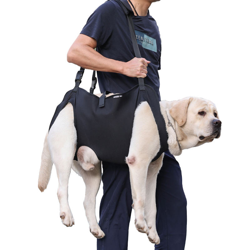 dog sling carriers