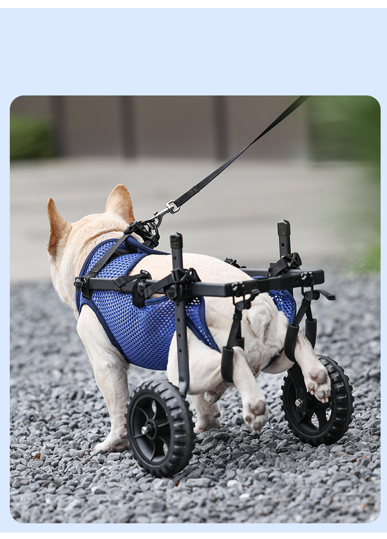 Adjustable 2-Wheel Pet Wheelchair