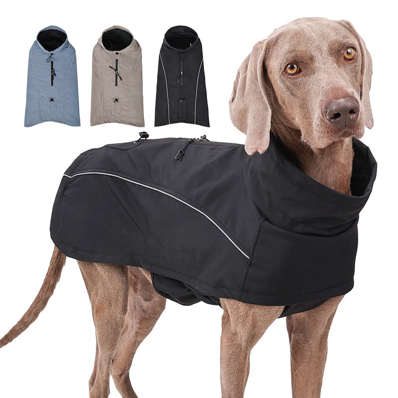 Designer Waterproof Dog Coat