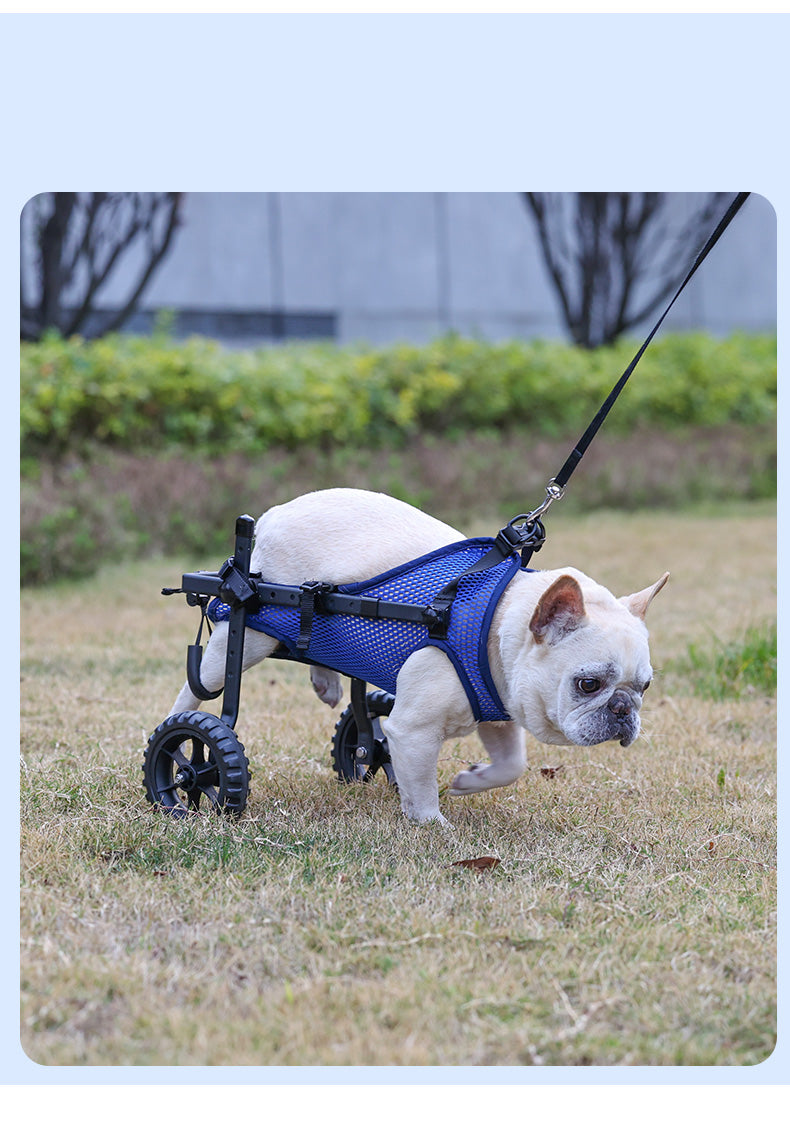 Adjustable 2-Wheel Pet Wheelchair
