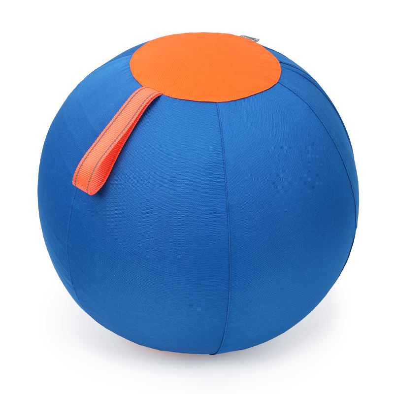Pet Herding Ball