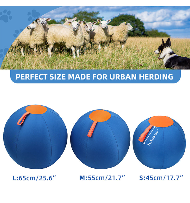 Pet Herding Ball