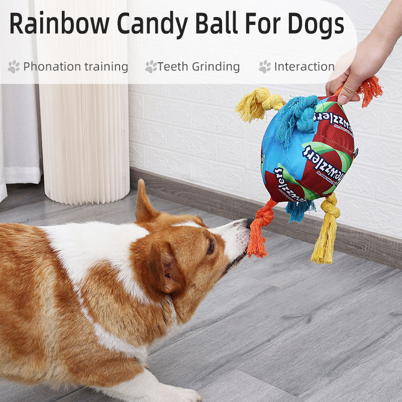 Dog Rope Chew Toy