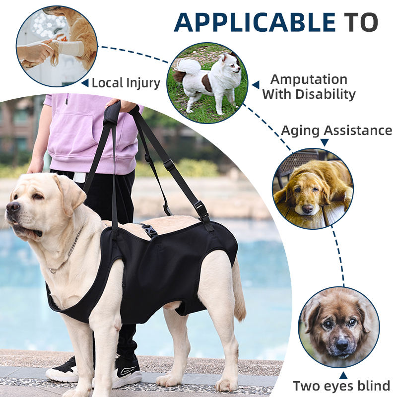 dog sling carriers