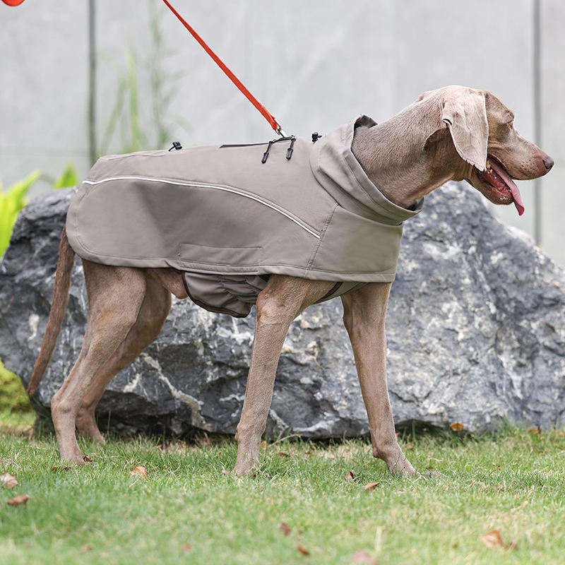 Designer Waterproof Dog Coat