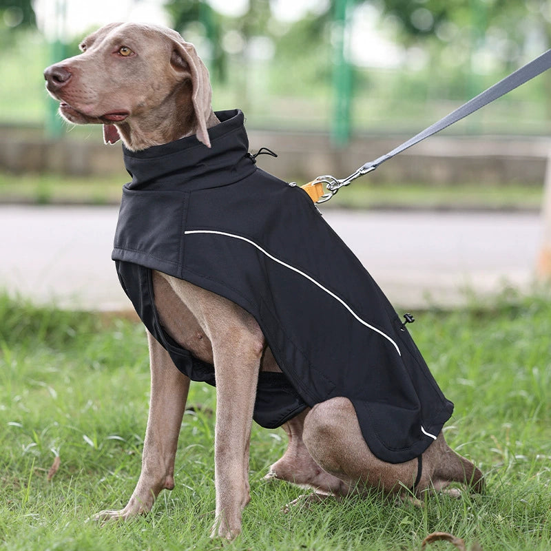 Designer Waterproof Dog Coat