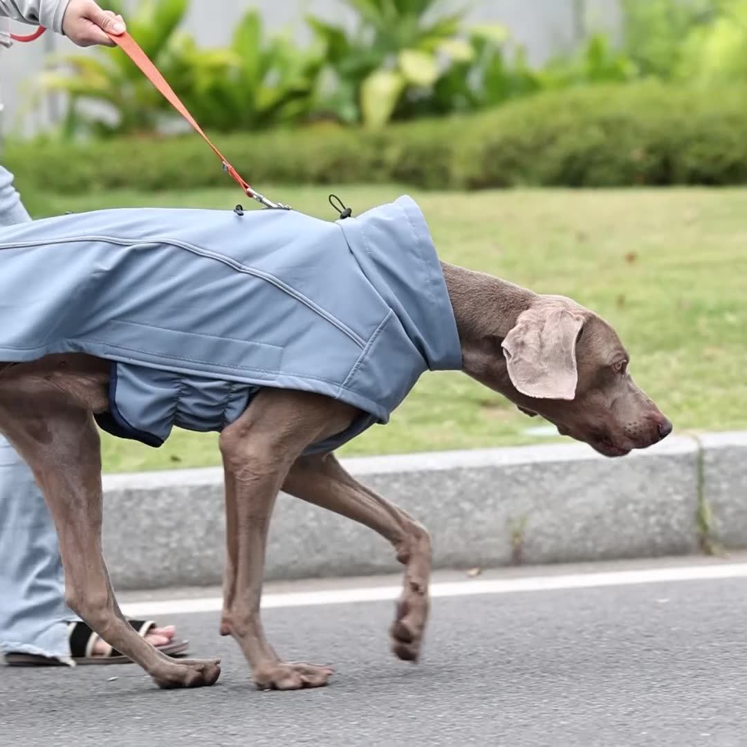 Designer Waterproof Dog Coat
