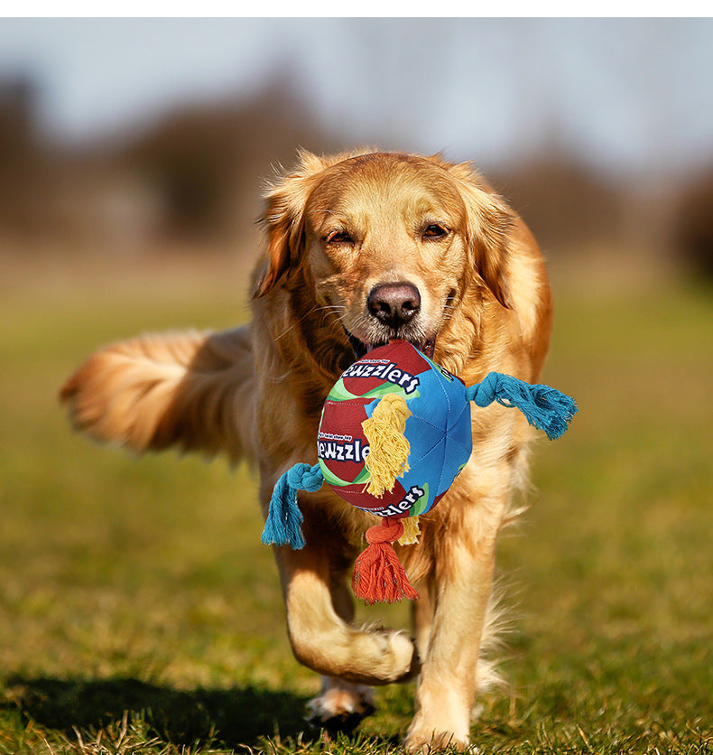 Dog Rope Chew Toy