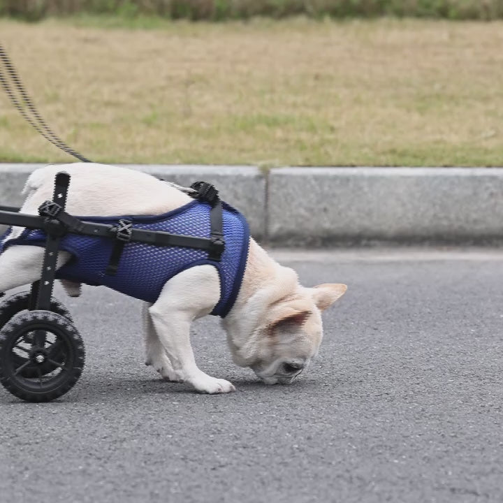 Adjustable 2-Wheel Pet Wheelchair