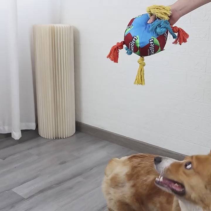 Dog Rope Chew Toy