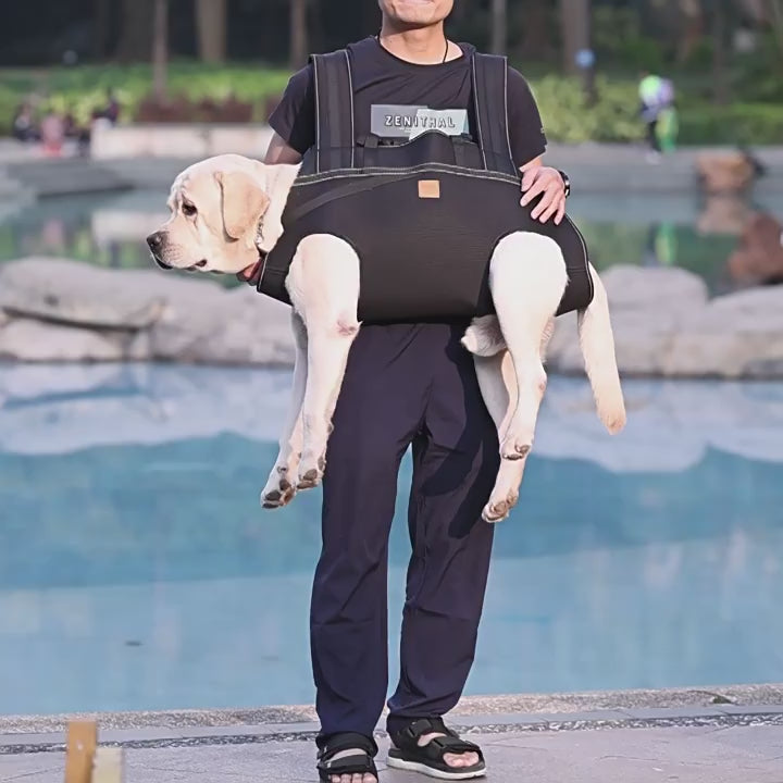 Dog Lift Harness